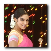 Asin-Gallery